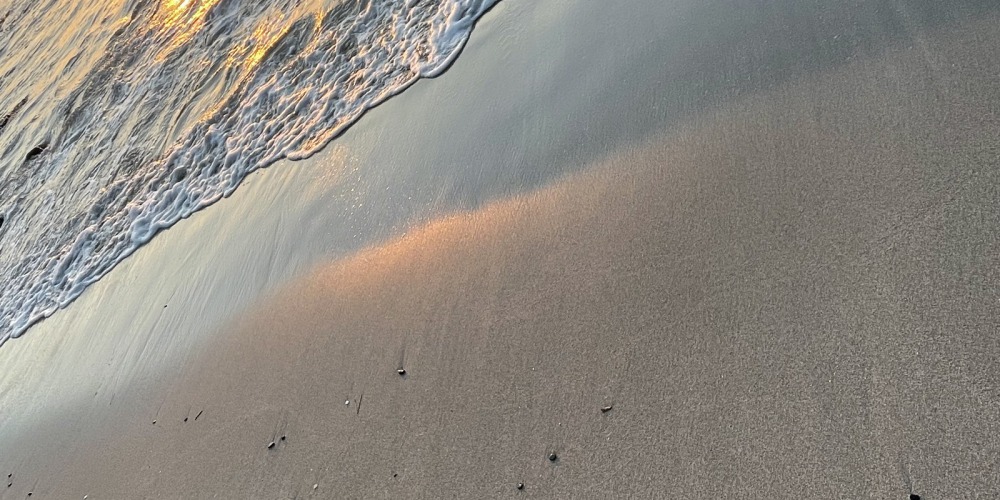 伊豆朝日に照らされた海岸