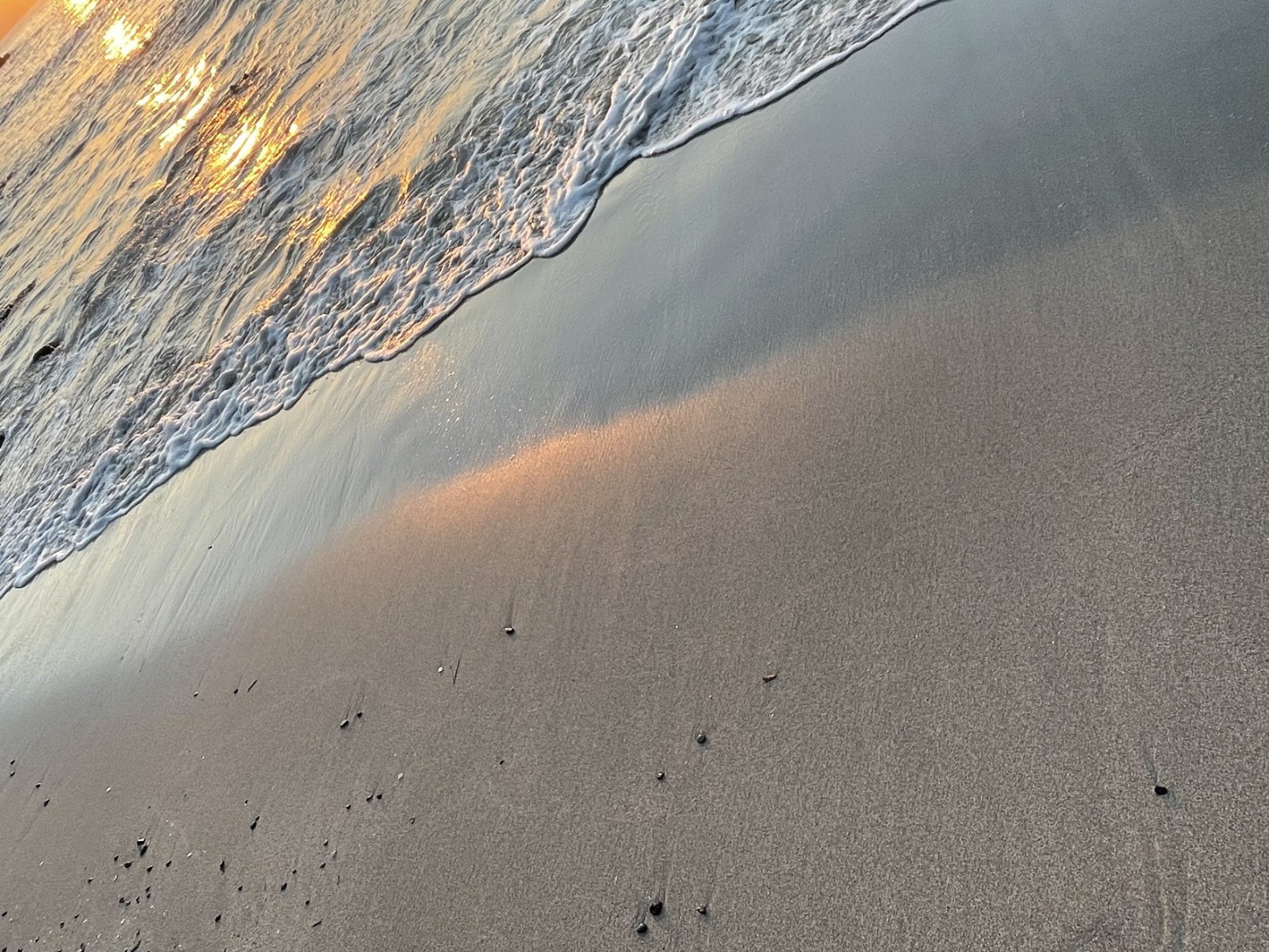 伊豆朝日に照らされた海岸