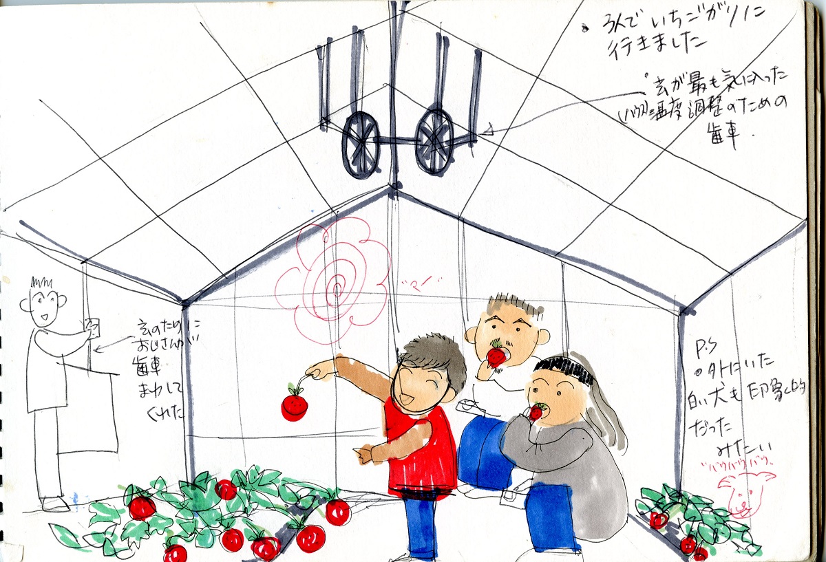 いちご絵日記3