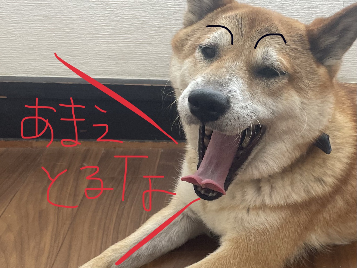 あまえとるなー